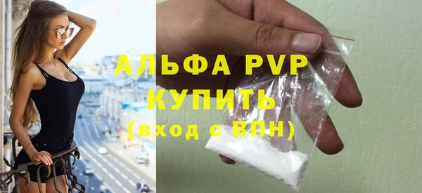 Альфа ПВП Верея