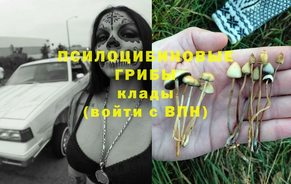 прущая мука Тавда
