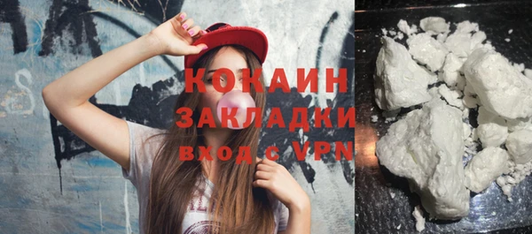 Альфа ПВП Верея