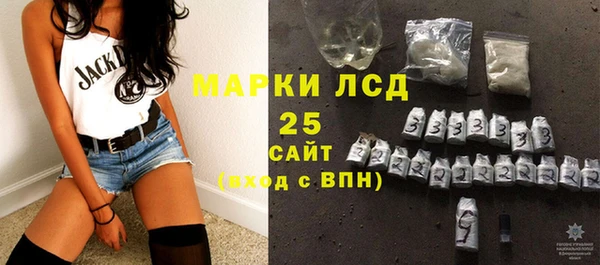 Альфа ПВП Верея