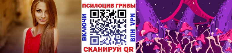 как найти наркотики  Елизово  Псилоцибиновые грибы Magic Shrooms 